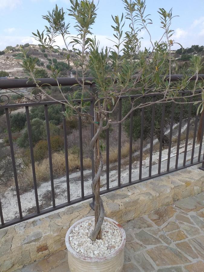 Apartment Kalypso View Letimbou